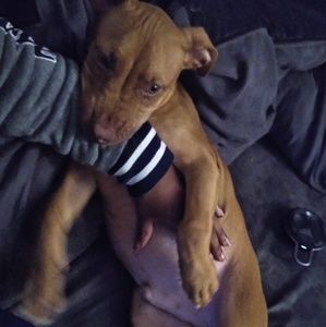 Meet your Posher, Delvone